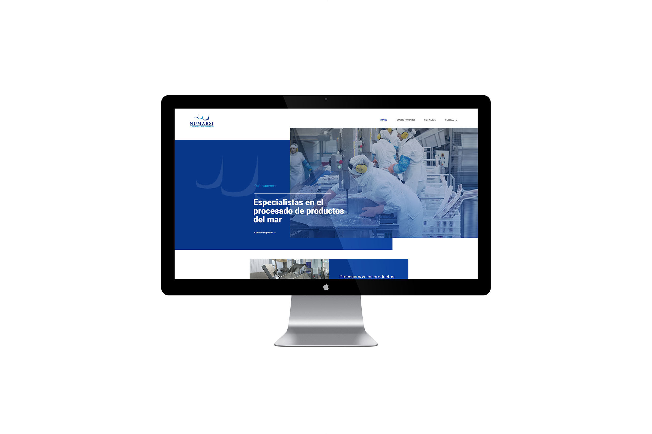 Home de pagina web de Numarsi