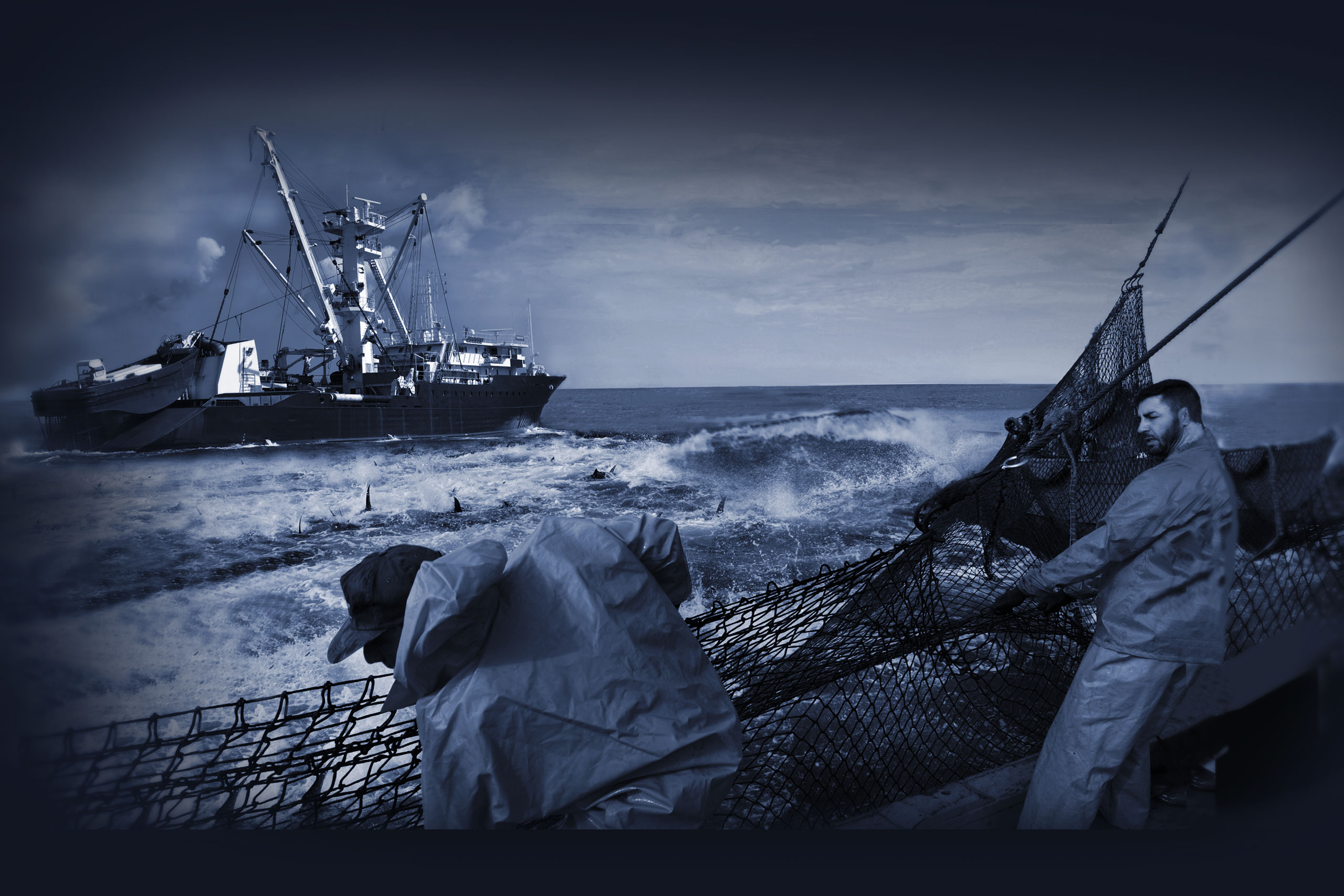 Imagen de Atunlo de la pesca del atún salvaje